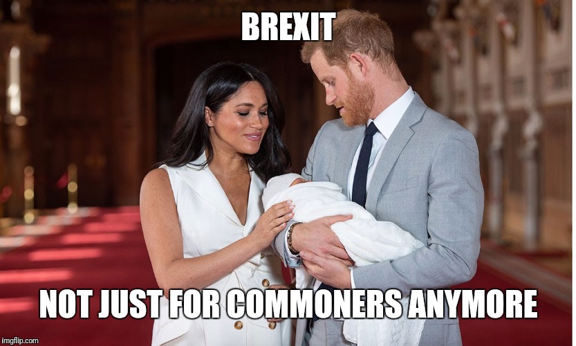 Royal Brexit | BREXIT; NOT JUST FOR COMMONERS ANYMORE | image tagged in baby,prince harry,meghan markle | made w/ Imgflip meme maker