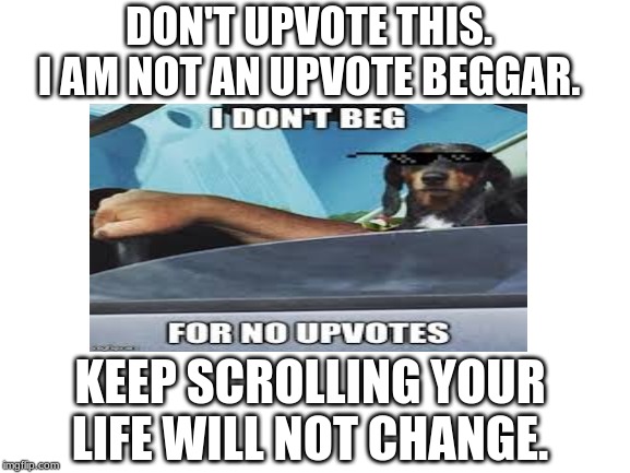 I don't beg. You shouldn't either. | DON'T UPVOTE THIS. I AM NOT AN UPVOTE BEGGAR. KEEP SCROLLING YOUR LIFE WILL NOT CHANGE. | image tagged in funny,i don't care | made w/ Imgflip meme maker
