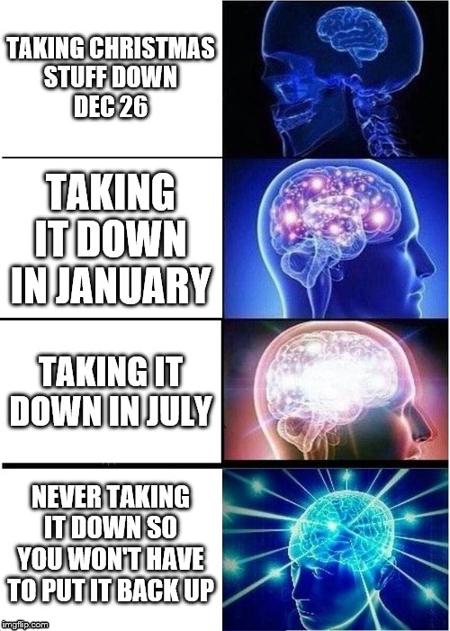Christmas Logic | TAKING CHRISTMAS
 STUFF DOWN 
DEC 26; TAKING IT DOWN IN JANUARY; TAKING IT DOWN IN JULY; NEVER TAKING IT DOWN SO YOU WON'T HAVE TO PUT IT BACK UP | image tagged in memes,expanding brain | made w/ Imgflip meme maker