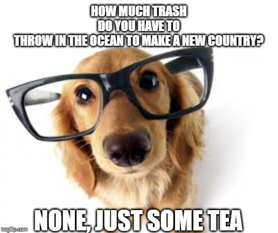 ocean trash? | HOW MUCH TRASH DO YOU HAVE TO THROW IN THE OCEAN TO MAKE A NEW COUNTRY? NONE, JUST SOME TEA | image tagged in can i help you,throw trash,new country | made w/ Imgflip meme maker