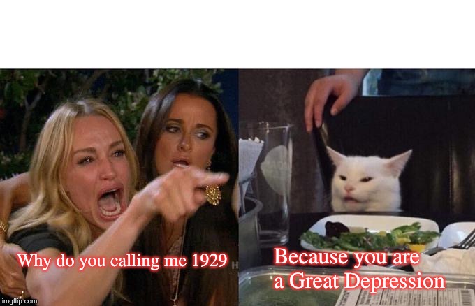 Woman Yelling At Cat Meme | Why do you calling me 1929; Because you are a Great Depression | image tagged in memes,woman yelling at cat | made w/ Imgflip meme maker