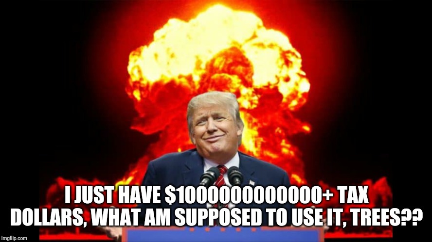 Iran nuclear WW3 | I JUST HAVE $1000000000000+ TAX DOLLARS, WHAT AM SUPPOSED TO USE IT, TREES?? | image tagged in iran nuclear ww3 | made w/ Imgflip meme maker