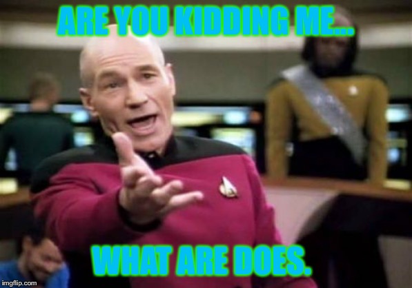 Picard Wtf | ARE YOU KIDDING ME... WHAT ARE DOES. | image tagged in memes,picard wtf | made w/ Imgflip meme maker