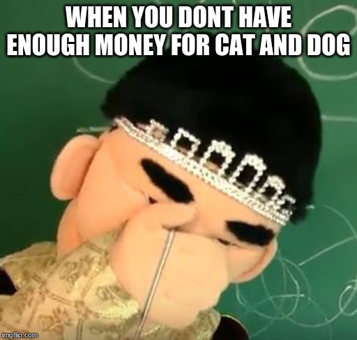 Disaponited jackie chu | WHEN YOU DONT HAVE ENOUGH MONEY FOR CAT AND DOG | image tagged in disaponited jackie chu | made w/ Imgflip meme maker