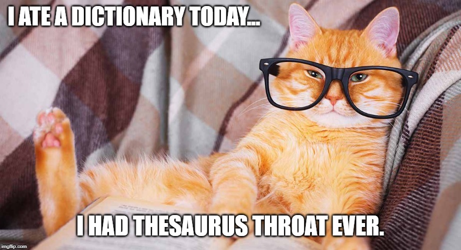 catty puns | I ATE A DICTIONARY TODAY... I HAD THESAURUS THROAT EVER. | image tagged in smart cat,cat puns,bookish | made w/ Imgflip meme maker