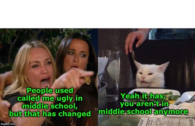 Woman Yelling At Cat | People used called me ugly in middle school, but that has changed; Yeah it has,  you aren’t in middle school anymore | image tagged in memes,woman yelling at cat | made w/ Imgflip meme maker