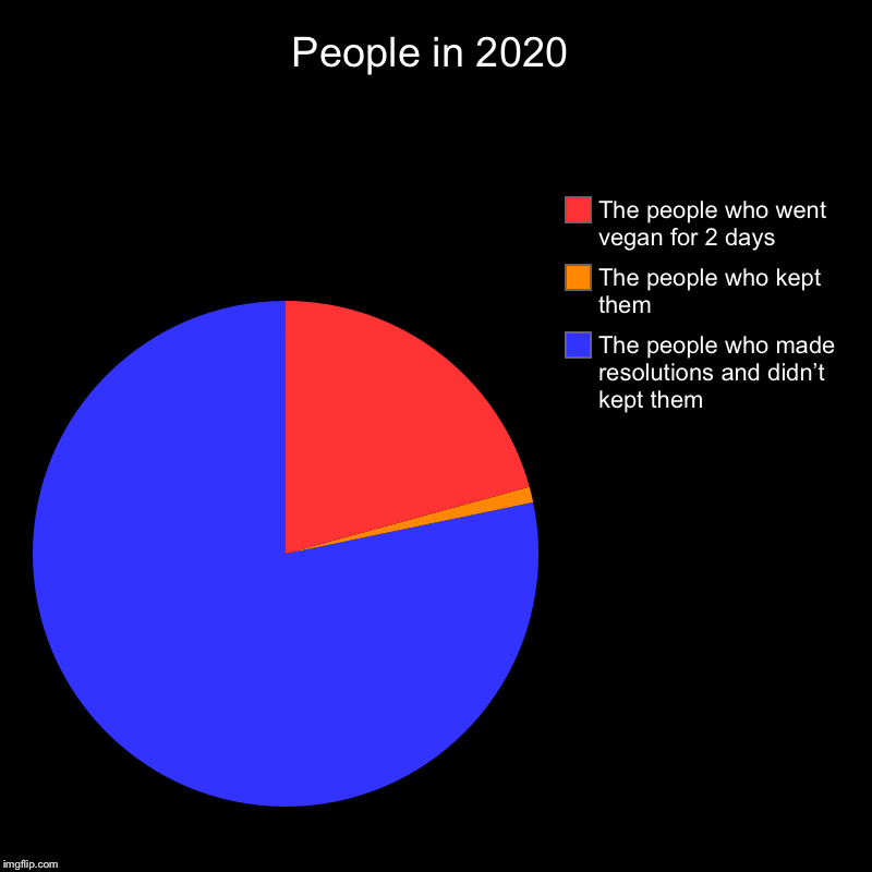 People in 2020 | The people who made resolutions and didn’t kept them, The people who kept them , The people who went vegan for 2 days | image tagged in charts,pie charts | made w/ Imgflip chart maker