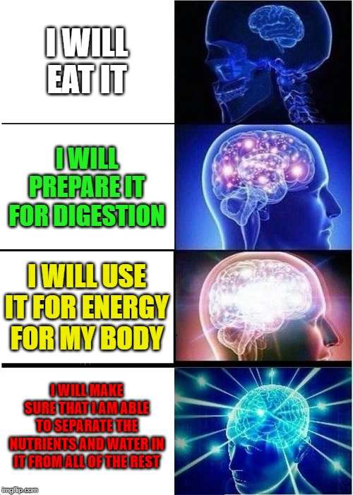 Expanding Brain | I WILL EAT IT; I WILL PREPARE IT FOR DIGESTION; I WILL USE IT FOR ENERGY FOR MY BODY; I WILL MAKE SURE THAT I AM ABLE TO SEPARATE THE NUTRIENTS AND WATER IN IT FROM ALL OF THE REST | image tagged in memes,expanding brain | made w/ Imgflip meme maker