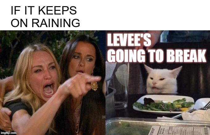 Woman Yelling At Cat Meme | IF IT KEEPS ON RAINING; LEVEE'S GOING TO BREAK | image tagged in memes,woman yelling at cat | made w/ Imgflip meme maker