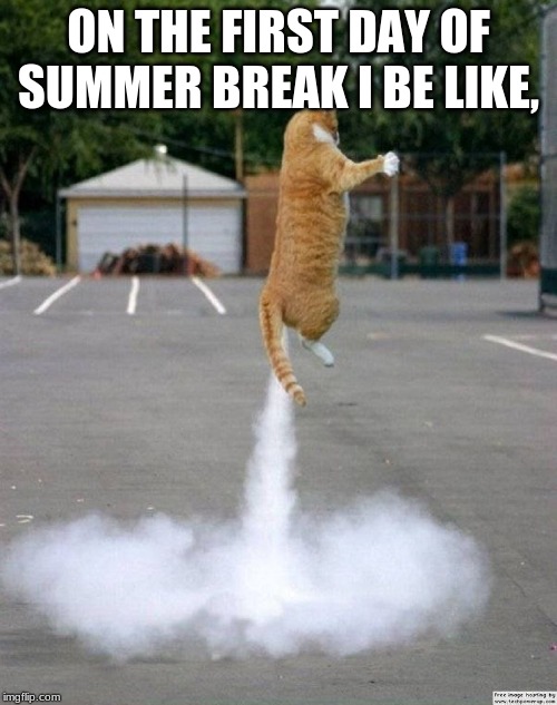 Rocket Cat | ON THE FIRST DAY OF SUMMER BREAK I BE LIKE, | image tagged in cat,summer | made w/ Imgflip meme maker