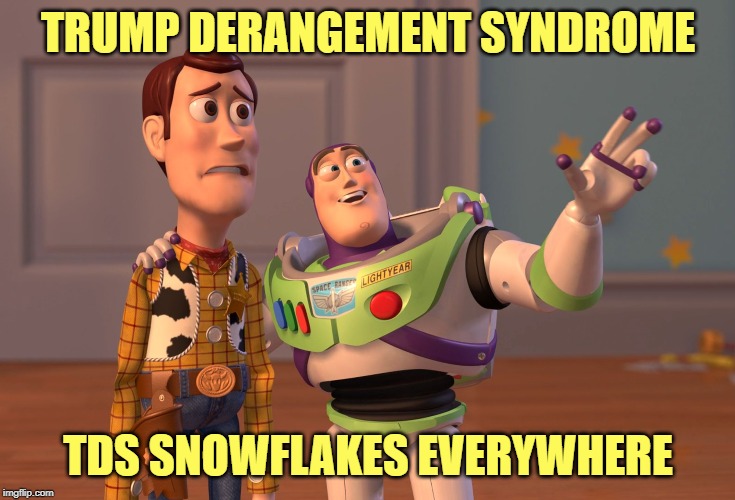 X, X Everywhere | TRUMP DERANGEMENT SYNDROME; TDS SNOWFLAKES EVERYWHERE | image tagged in memes,x x everywhere | made w/ Imgflip meme maker