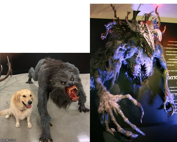 dog vs werewolf vs Cleric Beast | image tagged in memes,woman yelling at cat,dog vs werewolf | made w/ Imgflip meme maker