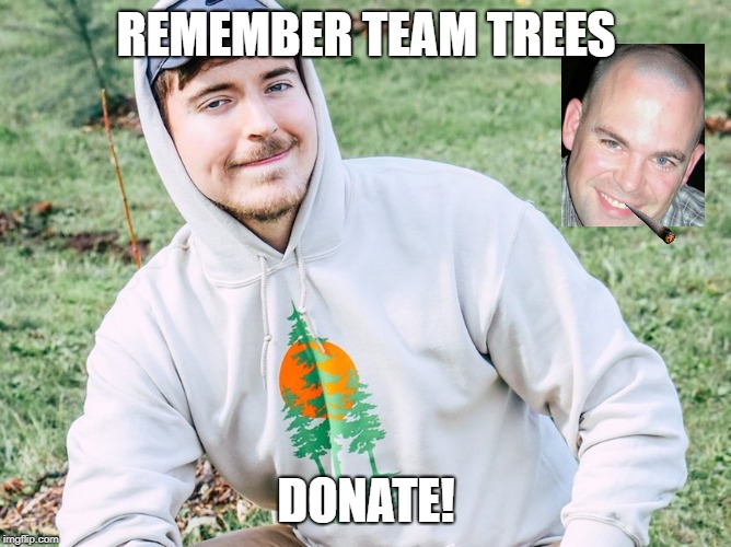TEAM TREES | REMEMBER TEAM TREES; DONATE! | image tagged in mrbeast | made w/ Imgflip meme maker