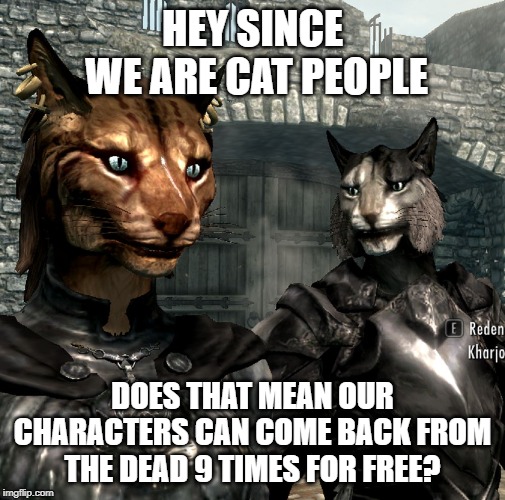 Khajiit Dragonborn | HEY SINCE
 WE ARE CAT PEOPLE; DOES THAT MEAN OUR CHARACTERS CAN COME BACK FROM THE DEAD 9 TIMES FOR FREE? | image tagged in khajiit dragonborn | made w/ Imgflip meme maker