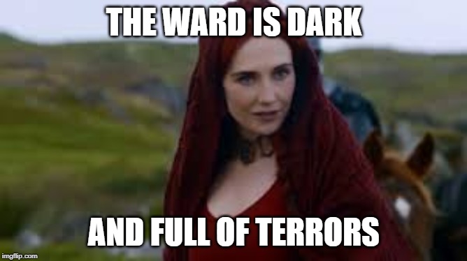 The Night is dark and full of terrors | THE WARD IS DARK; AND FULL OF TERRORS | image tagged in the night is dark and full of terrors | made w/ Imgflip meme maker