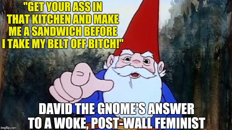 Based David the Gnome knows what's up | "GET YOUR ASS IN THAT KITCHEN AND MAKE ME A SANDWICH BEFORE I TAKE MY BELT OFF BITCH!"; DAVID THE GNOME'S ANSWER TO A WOKE, POST-WALL FEMINIST | image tagged in david the gnome,triggered,triggered feminist,memes | made w/ Imgflip meme maker