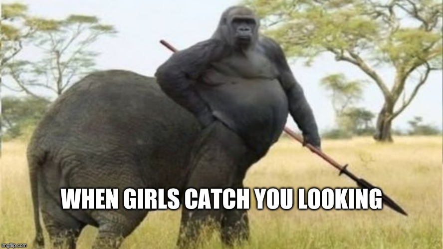 WHEN GIRLS CATCH YOU LOOKING | made w/ Imgflip meme maker