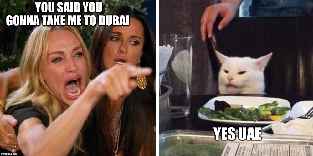 Smudge the cat | YOU SAID YOU GONNA TAKE ME TO DUBAI; YES UAE | image tagged in smudge the cat | made w/ Imgflip meme maker
