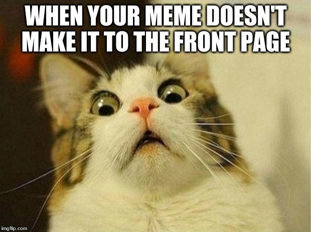 Scared Cat Meme | WHEN YOUR MEME DOESN'T MAKE IT TO THE FRONT PAGE | image tagged in memes,scared cat | made w/ Imgflip meme maker