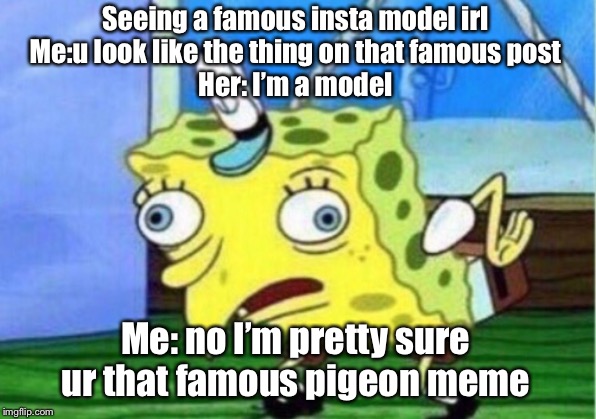 Mocking Spongebob | Seeing a famous insta model irl
Me:u look like the thing on that famous post
Her: I’m a model; Me: no I’m pretty sure ur that famous pigeon meme | image tagged in memes,mocking spongebob | made w/ Imgflip meme maker