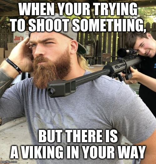dont ask | WHEN YOUR TRYING TO SHOOT SOMETHING, BUT THERE IS A VIKING IN YOUR WAY | image tagged in dont ask | made w/ Imgflip meme maker
