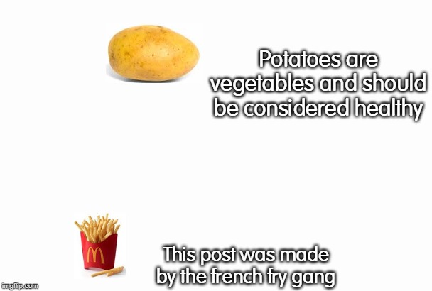 Potatoes are vegetables and should be considered healthy; This post was made by the french fry gang | image tagged in french fries,potatoes,memes,vegetables | made w/ Imgflip meme maker