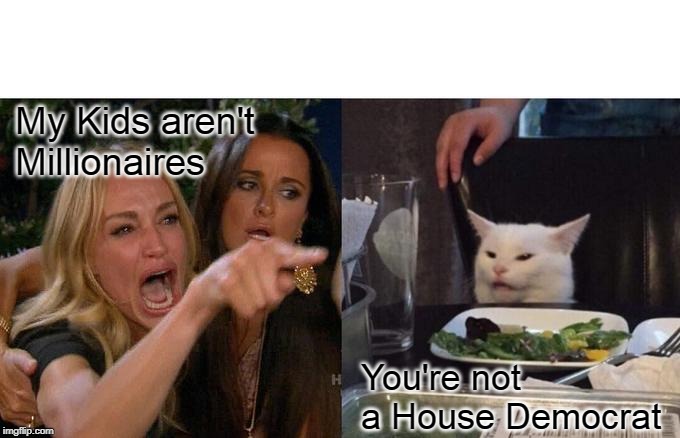 Woman Yelling At Cat | My Kids aren't Millionaires; You're not a House Democrat | image tagged in memes,woman yelling at cat,politics,crying democrats | made w/ Imgflip meme maker