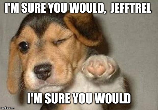 Winking Dog | I'M SURE YOU WOULD,  JEFFTREL I'M SURE YOU WOULD | image tagged in winking dog | made w/ Imgflip meme maker