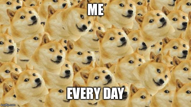Multi Doge | ME; EVERY DAY | image tagged in memes,multi doge | made w/ Imgflip meme maker