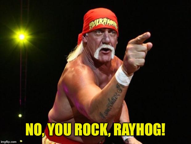 Hulk Hogan | NO, YOU ROCK, RAYHOG! | image tagged in hulk hogan | made w/ Imgflip meme maker
