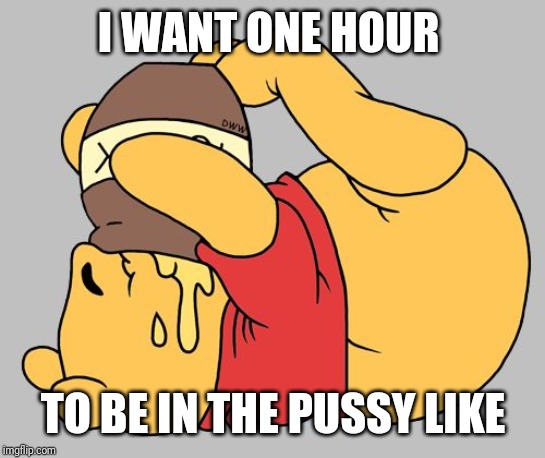 Winnie the Pooh | I WANT ONE HOUR; TO BE IN THE PUSSY LIKE | image tagged in winnie the pooh | made w/ Imgflip meme maker