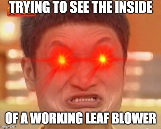 TRYING TO SEE THE INSIDE; OF A WORKING LEAF BLOWER | image tagged in meme,childhood | made w/ Imgflip meme maker
