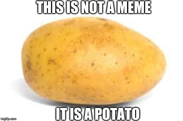 Potato | THIS IS NOT A MEME; IT IS A POTATO | image tagged in potato | made w/ Imgflip meme maker