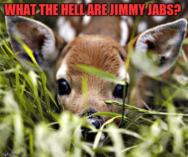 Timid deer | WHAT THE HELL ARE JIMMY JABS? | image tagged in timid deer | made w/ Imgflip meme maker