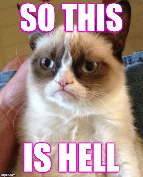 Grumpy Cat Meme | SO THIS IS HELL | image tagged in memes,grumpy cat | made w/ Imgflip meme maker