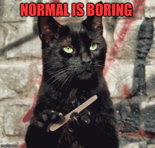 NORMAL IS BORING | made w/ Imgflip meme maker