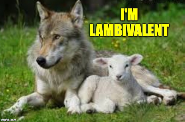 I'M LAMBIVALENT | made w/ Imgflip meme maker