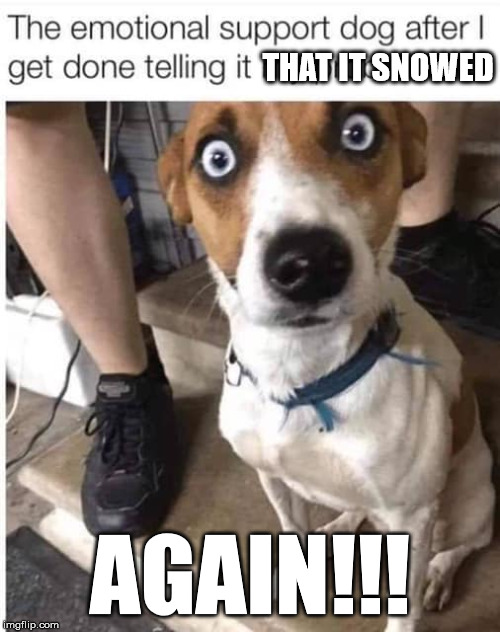 THAT IT SNOWED; AGAIN!!! | made w/ Imgflip meme maker