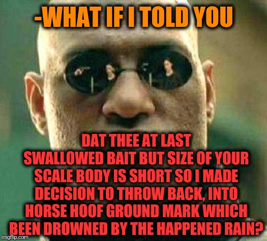 What if i told you | -WHAT IF I TOLD YOU DAT THEE AT LAST SWALLOWED BAIT BUT SIZE OF YOUR SCALE BODY IS SHORT SO I MADE DECISION TO THROW BACK, INTO HORSE HOOF G | image tagged in what if i told you | made w/ Imgflip meme maker