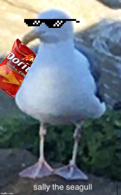 image tagged in sally the seagull,doritos,mountain dew | made w/ Imgflip meme maker