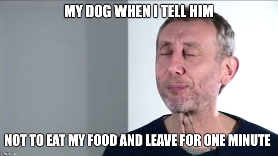 Noice | MY DOG WHEN I TELL HIM; NOT TO EAT MY FOOD AND LEAVE FOR ONE MINUTE | image tagged in funny dog memes | made w/ Imgflip meme maker
