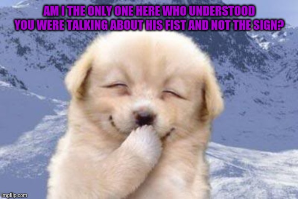 Laughing dog | AM I THE ONLY ONE HERE WHO UNDERSTOOD YOU WERE TALKING ABOUT HIS FIST AND NOT THE SIGN? | image tagged in laughing dog | made w/ Imgflip meme maker