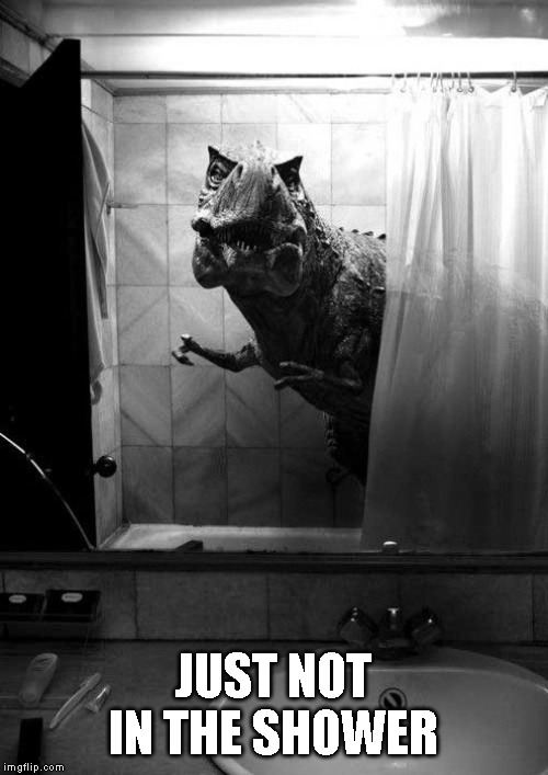 JUST NOT IN THE SHOWER | made w/ Imgflip meme maker