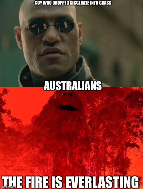 GUY WHO DROPPED CIGGERATE INTO GRASS; AUSTRALIANS; THE FIRE IS EVERLASTING | image tagged in memes,matrix morpheus | made w/ Imgflip meme maker