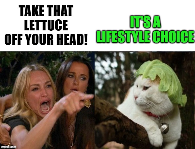 Lettuce Hat | IT'S A LIFESTYLE CHOICE; TAKE THAT LETTUCE OFF YOUR HEAD! | image tagged in funny memes,woman yelling at cat,lettuce,cat,meme | made w/ Imgflip meme maker