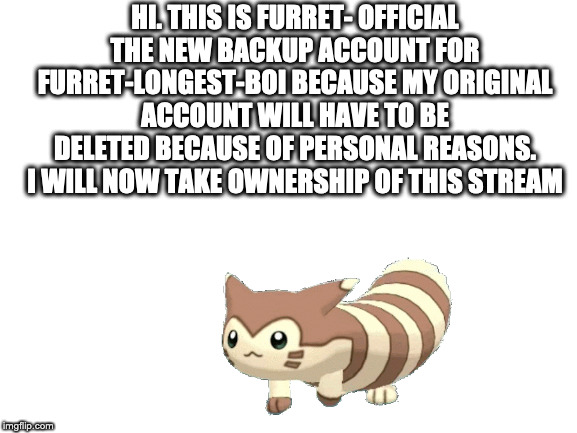 Blank White Template | HI. THIS IS FURRET- OFFICIAL THE NEW BACKUP ACCOUNT FOR FURRET-LONGEST-BOI BECAUSE MY ORIGINAL ACCOUNT WILL HAVE TO BE DELETED BECAUSE OF PERSONAL REASONS. I WILL NOW TAKE OWNERSHIP OF THIS STREAM | made w/ Imgflip meme maker
