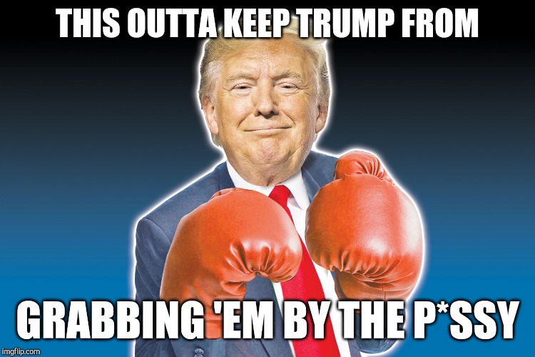 THIS OUTTA KEEP TRUMP FROM GRABBING 'EM BY THE P*SSY | made w/ Imgflip meme maker