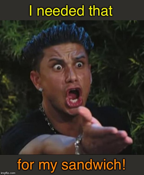 DJ Pauly D Meme | I needed that for my sandwich! | image tagged in memes,dj pauly d | made w/ Imgflip meme maker