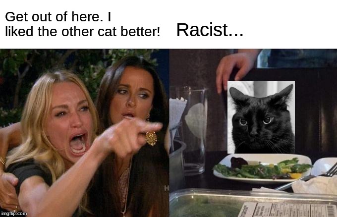 Racism's bad, kids | Get out of here. I liked the other cat better! Racist... | image tagged in memes,woman yelling at cat | made w/ Imgflip meme maker