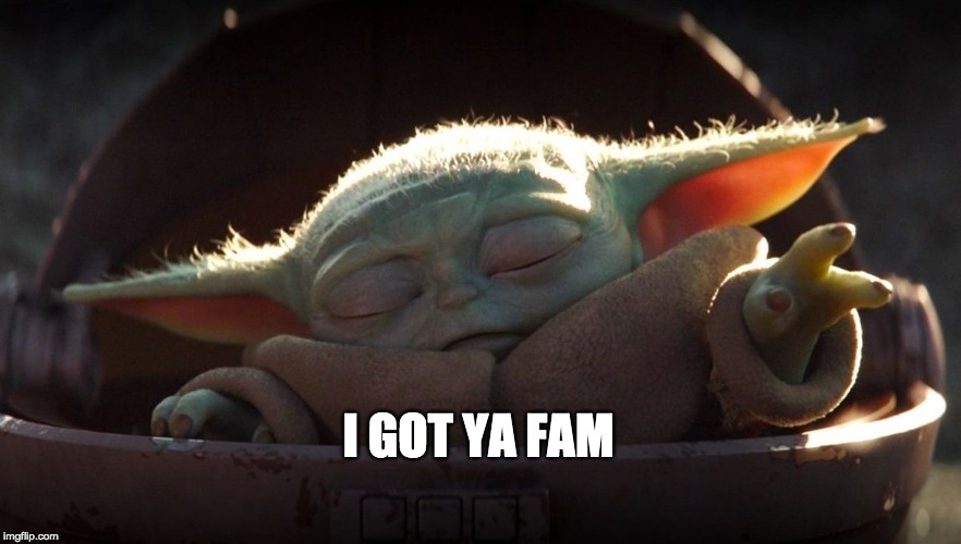 Baby Yoda Force | I GOT YA FAM | image tagged in baby yoda force | made w/ Imgflip meme maker